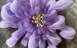 扭棒菊花 DIY：手把手教你制作超逼真的菊花装饰！