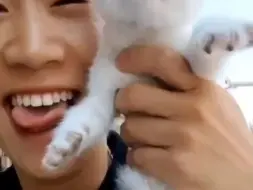 他声嘶力竭喊了那么久，最终小猫还是被丢下了....