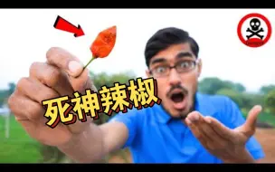 阿三哥作死吃死神辣椒，看看究竟是什么味道