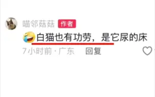 白猫：就显着你了？你还装上了