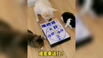 幸好有视频为证…狗子耍赖哈！