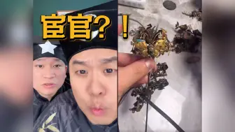 宦官还是官宦？|睿泽鉴宝