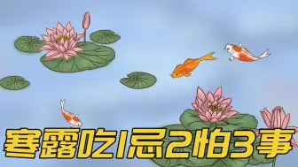 寒露将至，记得“吃1忌2怕3事”，顺应节气平安过秋