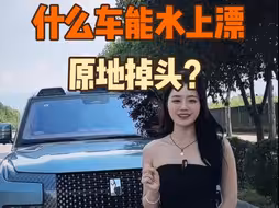 仰望U8：能水上漂、原地掉头、3秒破百，气场比肩奔驰大G，百万级国产越野车。