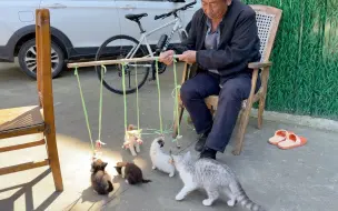 自从我开始养猫后，爷爷变得越来越喜欢钓鱼了。。。
