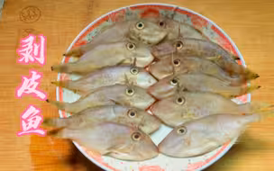 广东潮汕人这样做剥皮鱼（马面鱼），鱼肉外香里嫩，好吃下饭