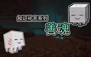 善魂的知识补充