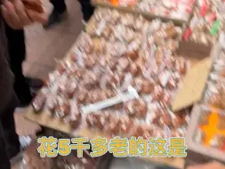 【潘家园核桃王本尊】视频加载中，速速查收惊喜！