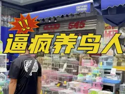 今天这期视频要逼疯所有养鸟人