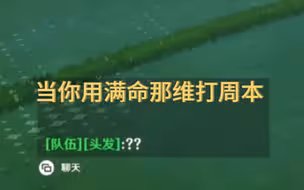 当你用满命那维莱特打周本 队友：？？
