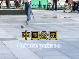 让外国网友眼前一亮的中国公园文化