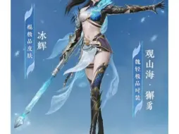 魏轻观山海皮肤