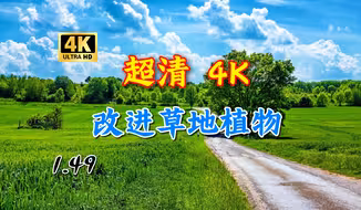 欧卡2MOD 1.49 4K超清 改进草地植物 更逼真 更有观赏性