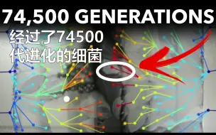 世上最长的进化实验