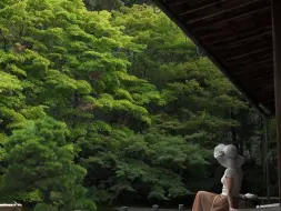 日本丨被一些绿色治愈着 平静自然的侘寂之美