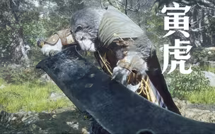 整个游戏最难打的快慢刀——寅虎