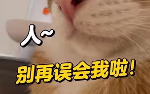 人，本喵的心思，被你看透了！