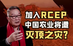 温铁军：RCEP是中国战略上的一步好棋，但对农业来说很可能是灭顶之灾【温铁军践闻录】