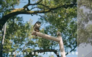 索尼SLOG3 LUT分享 三连评论可取！