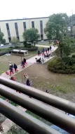 1号龙