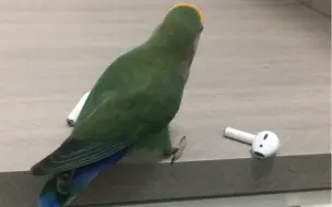 卧槽牛逼啊！一石二鸟一箭双雕啊！