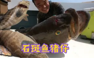 探海首次深海大石斑爆箱，探索沉船发现大型石斑鱼窝，渔获大爆发