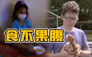 后院养鸡！美国饥饿人口猛增近三倍！民众千方百计解决温饱