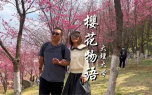 带着父母轻卡房车环游祖国第226天，在大理大学看樱花。当风吹散花瓣，春天总能在某个转角处与你相遇