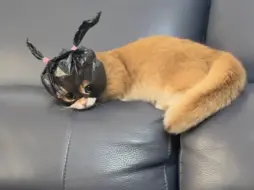 打劫姨姨