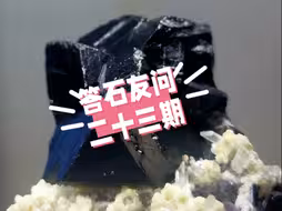 石友，你见到的是什么石头？（二十三期）