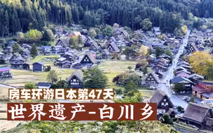 终于到白川乡了！日本最美乡村，世界文化遗产！宫崎骏的童话世界~