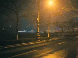 下雪的八大关
