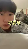 养猫真的可以让无聊的生活增添一丝色彩