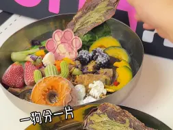 沉浸式宠物配餐吃饭 姐弟俩的宵夜