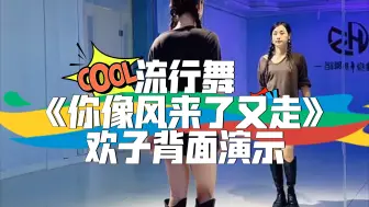 流行舞《你像风来了又走》欢子背面演示