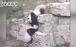 大猪蹄子添添