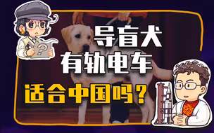 【睡前消息279】导盲犬 有轨电车 对中国太“奢侈”