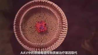 体内基因治疗