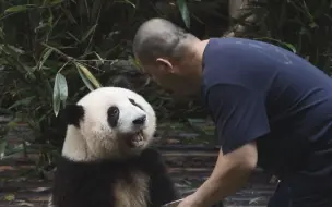 花花：爷爷，吃完这顿果果我们就要跑路了吗？