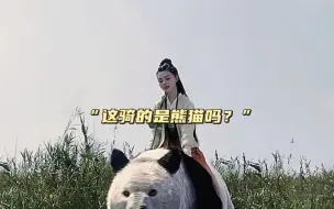 扛着向日葵的呵呵姑娘
