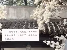 旧婚夫夫一对