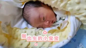 刚出生的人类幼崽有多迷糊