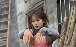 按猪大使