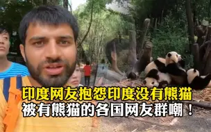 印度网友抱怨印度为什么没有大熊猫？被有熊猫的各国网友群嘲！