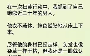 【完结文】在一次扫黄行动中，我抓到了自己暗恋近二十年的男人。他衣不蔽体，神色慌张...