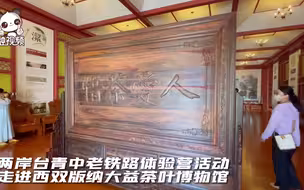 两岸台青中老铁路体验营活动走进西双版纳大益茶叶博物馆