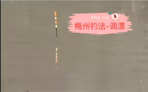 梅州钓法-调漂