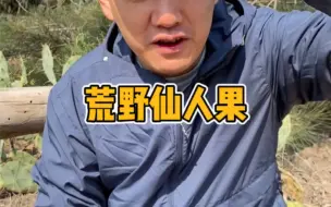野外的仙人掌果子真的太妙了！