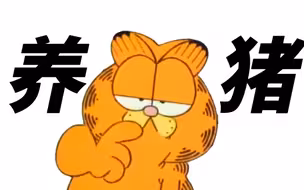 教你养一只加菲猫！