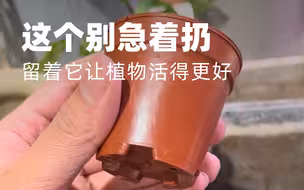 这个别急着扔，留着它让你的植物活得更好